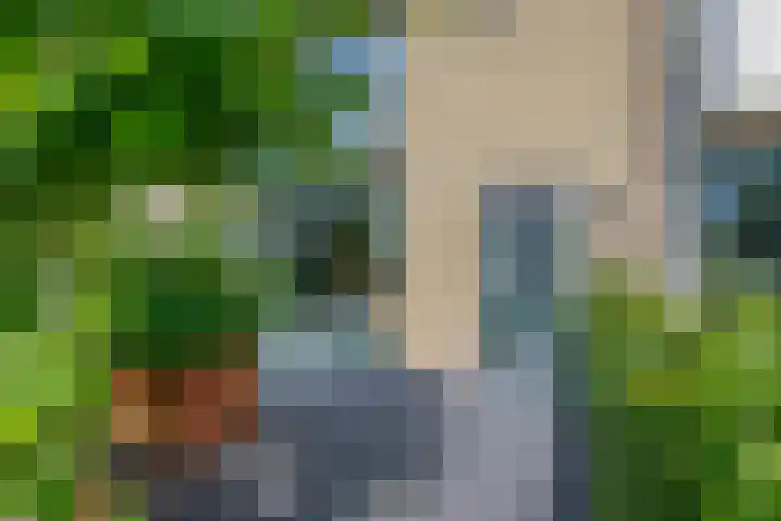 Wilhelminastraat 56 Lisse thumbnail 4