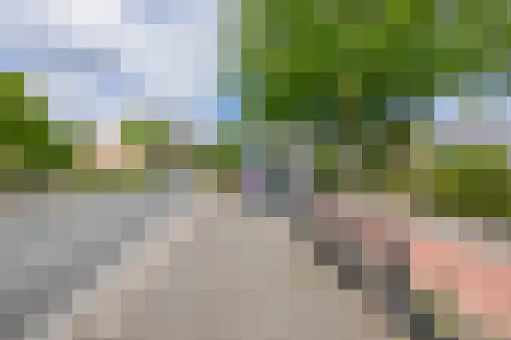 Wilhelminastraat 56 Lisse thumbnail 40