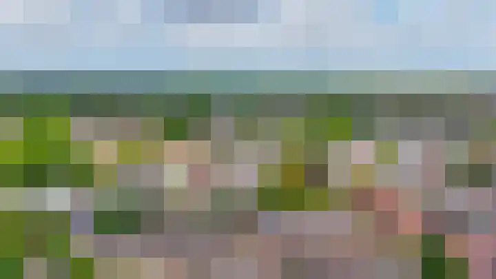 Wilhelminastraat 56 Lisse thumbnail 44