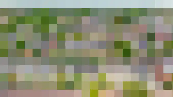 Wilhelminastraat 56 Lisse thumbnail 46