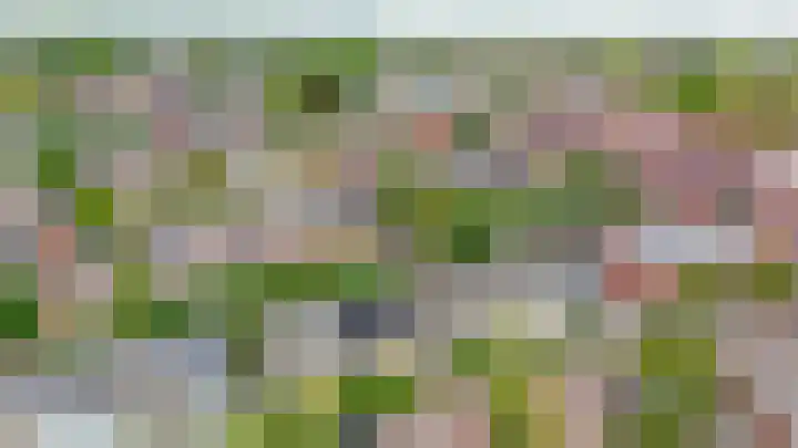 Wilhelminastraat 56 Lisse thumbnail 47
