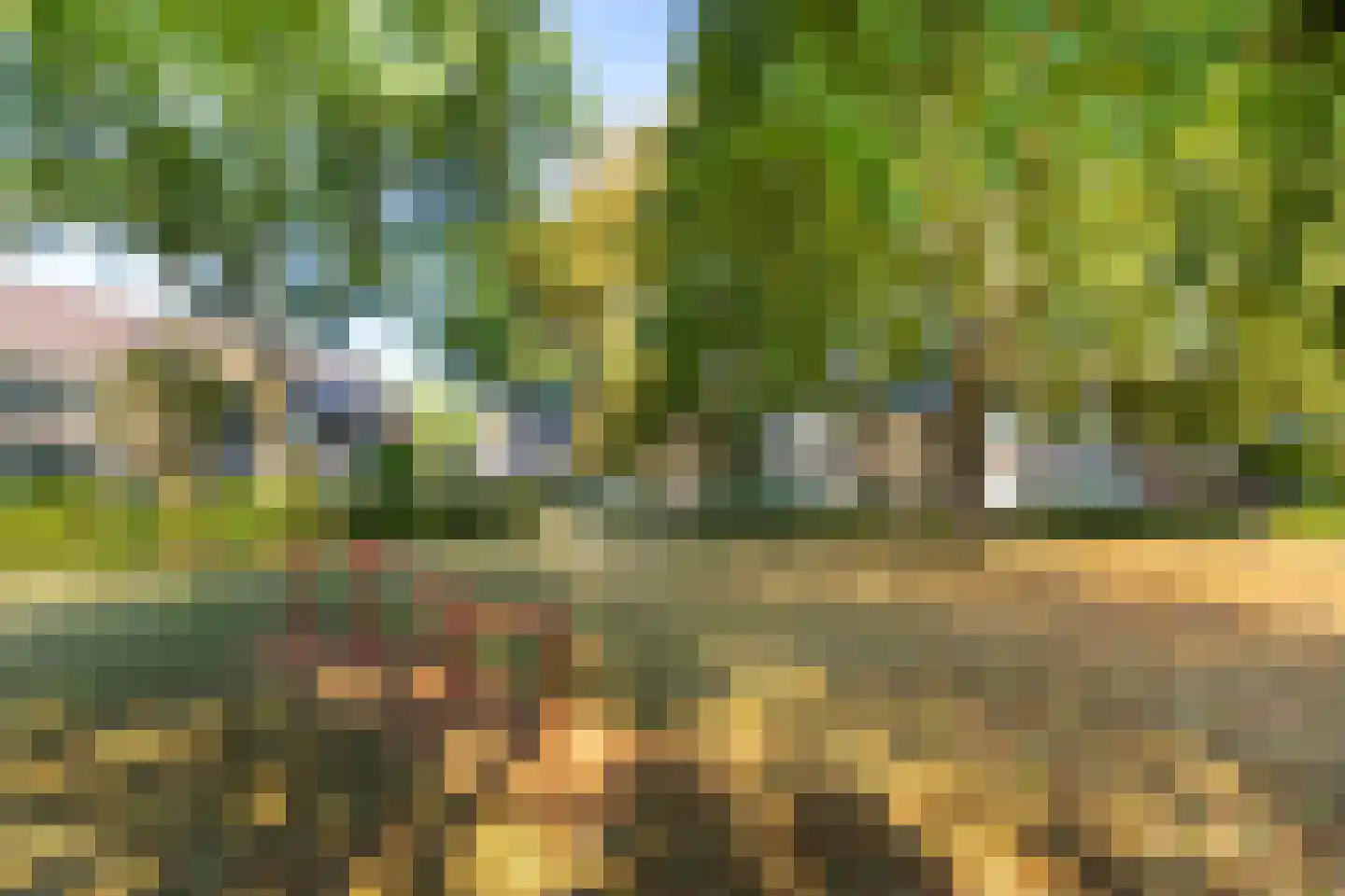 Wilhelminastraat 56 Vianen thumbnail 40