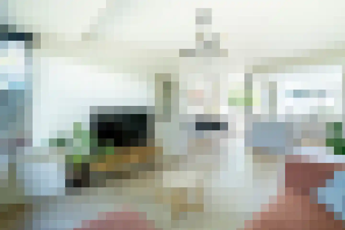 Wilhelminastraat 56 Vianen thumbnail 6