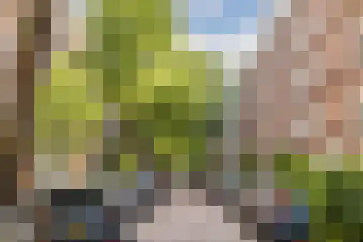 Wilhelminastraat 58 3 Amsterdam thumbnail 5