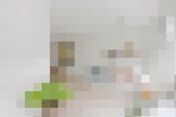 Wilhelminastraat 58 3 Amsterdam thumbnail 9