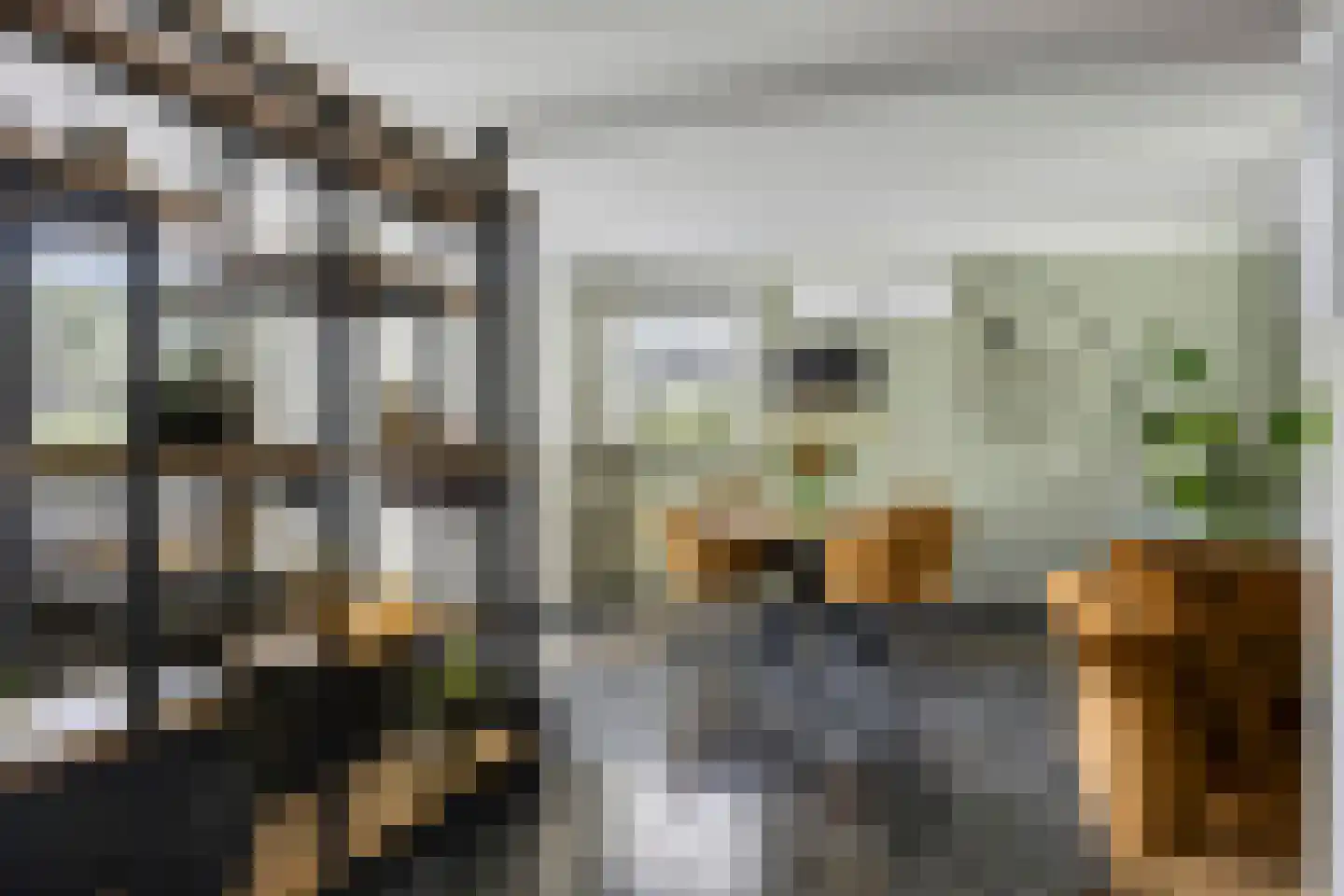 Wilhelminastraat 58 Vlijmen thumbnail 10