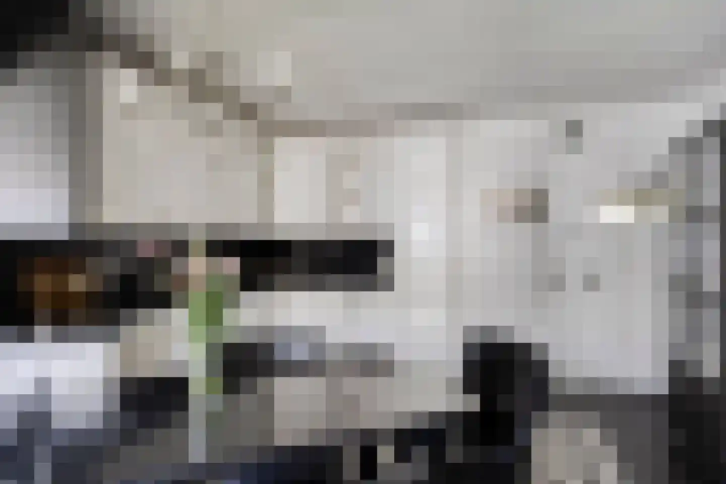 Wilhelminastraat 58 Vlijmen thumbnail 11
