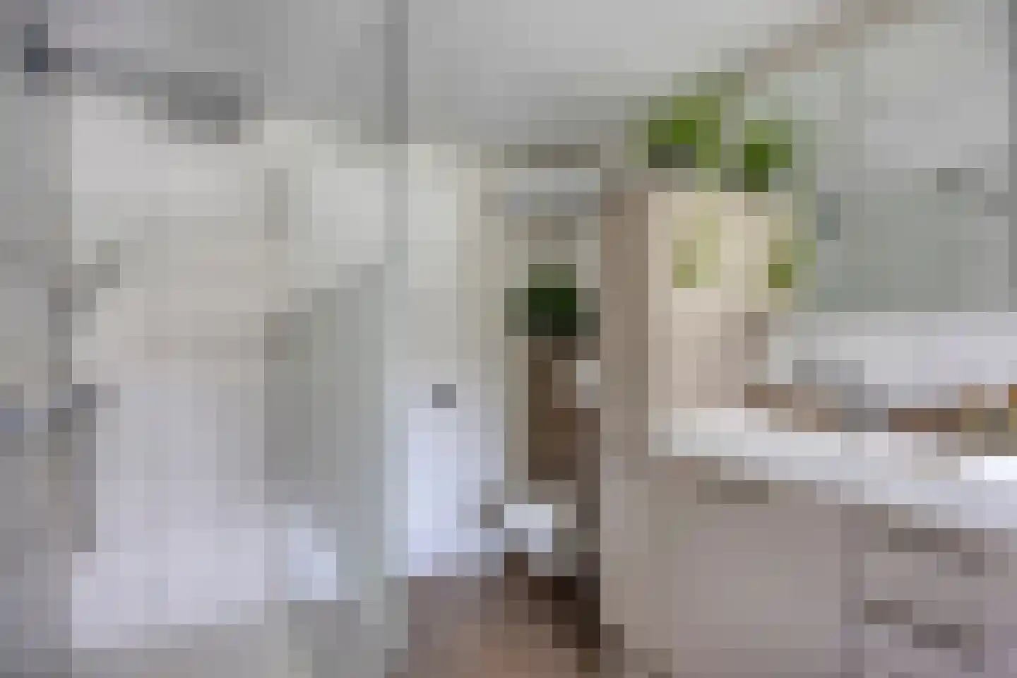 Wilhelminastraat 58 Vlijmen thumbnail 21