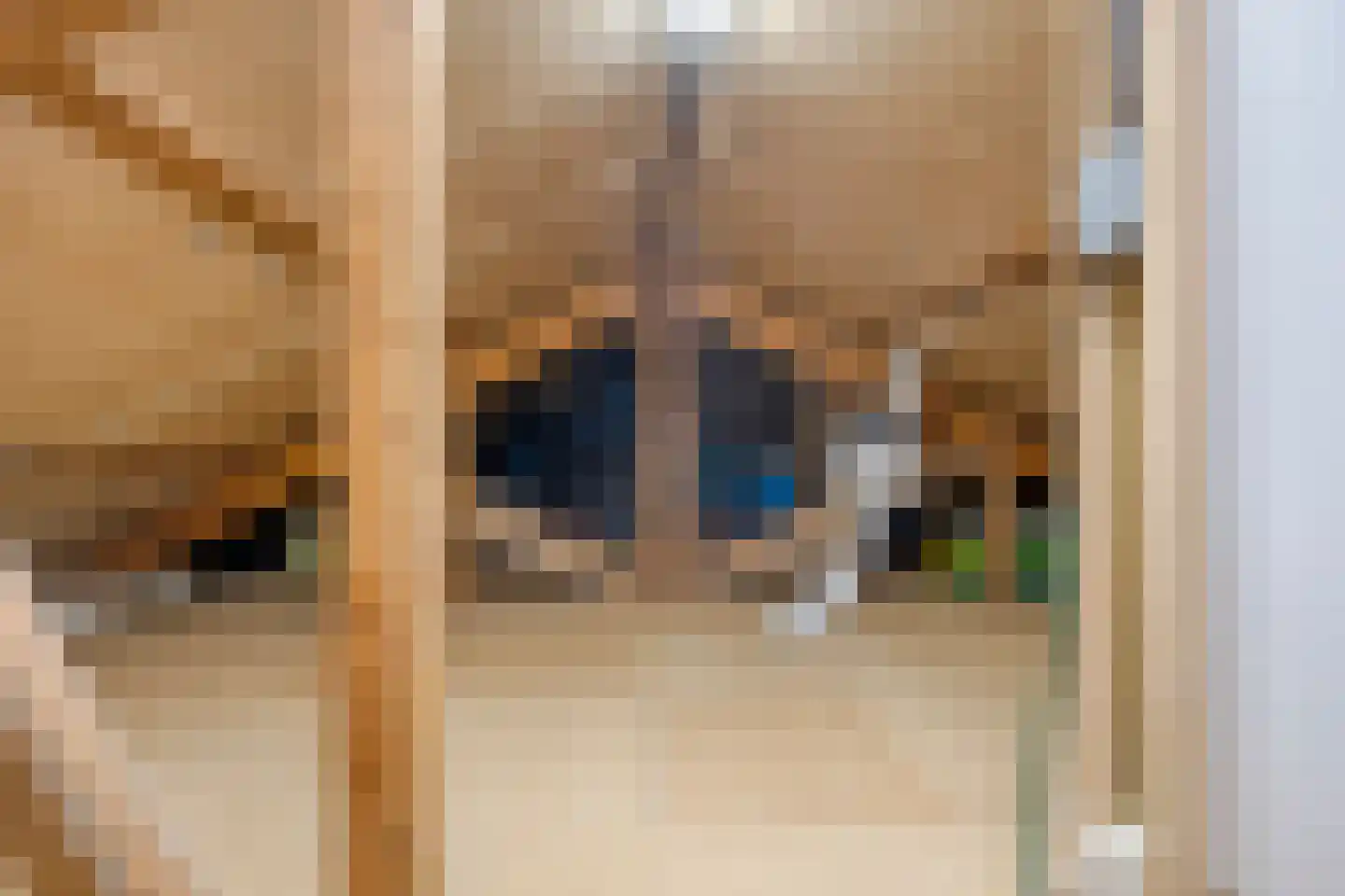 Wilhelminastraat 58 Vlijmen thumbnail 30