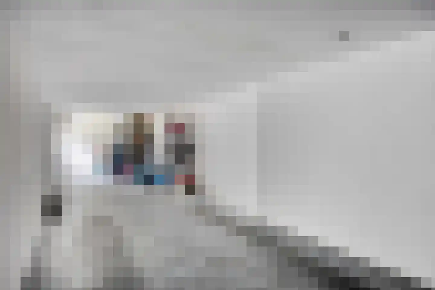 Wilhelminastraat 58 Vlijmen thumbnail 37