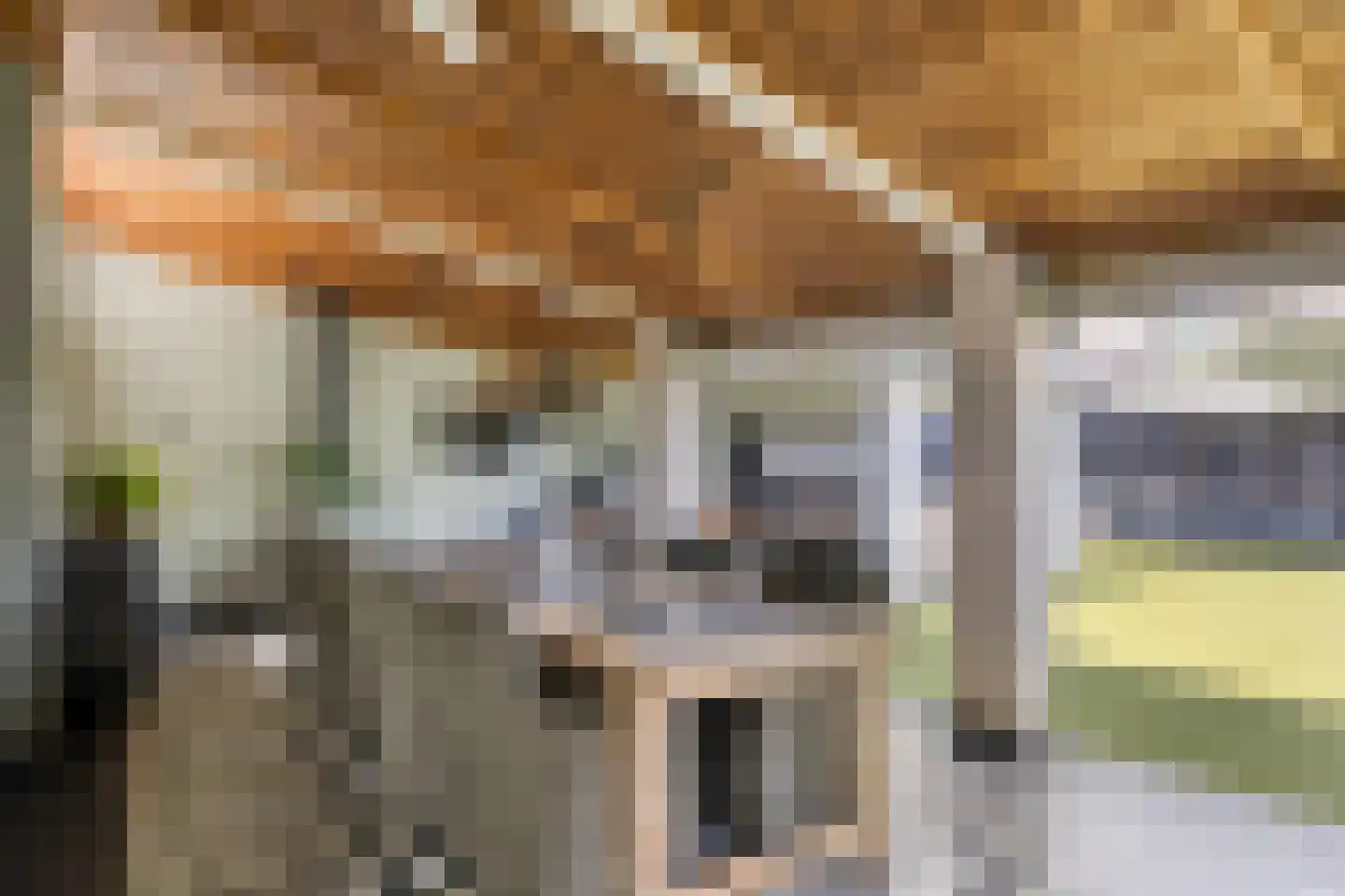 Wilhelminastraat 58 Vlijmen thumbnail 4