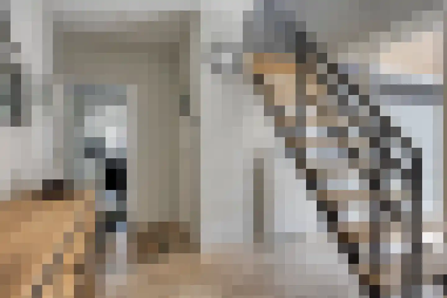 Wilhelminastraat 58 Vlijmen thumbnail 8
