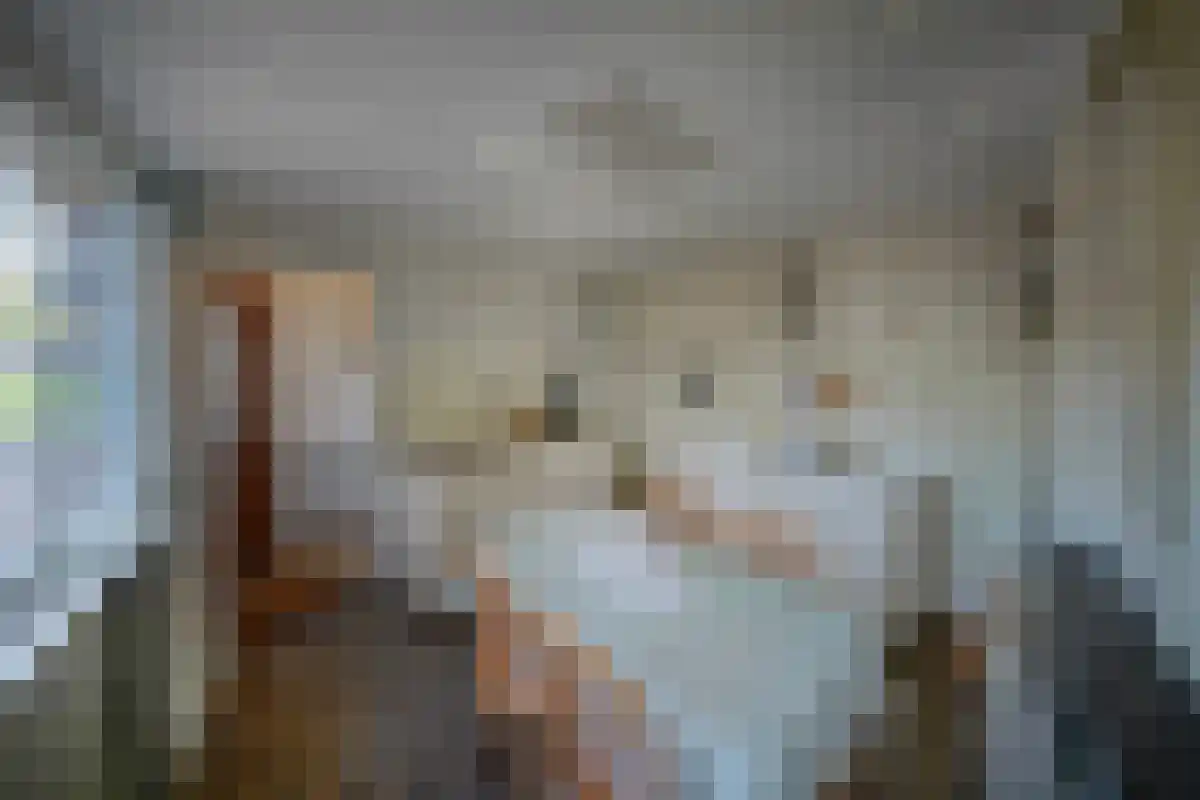 Wilhelminastraat 59 Eijsden thumbnail 12