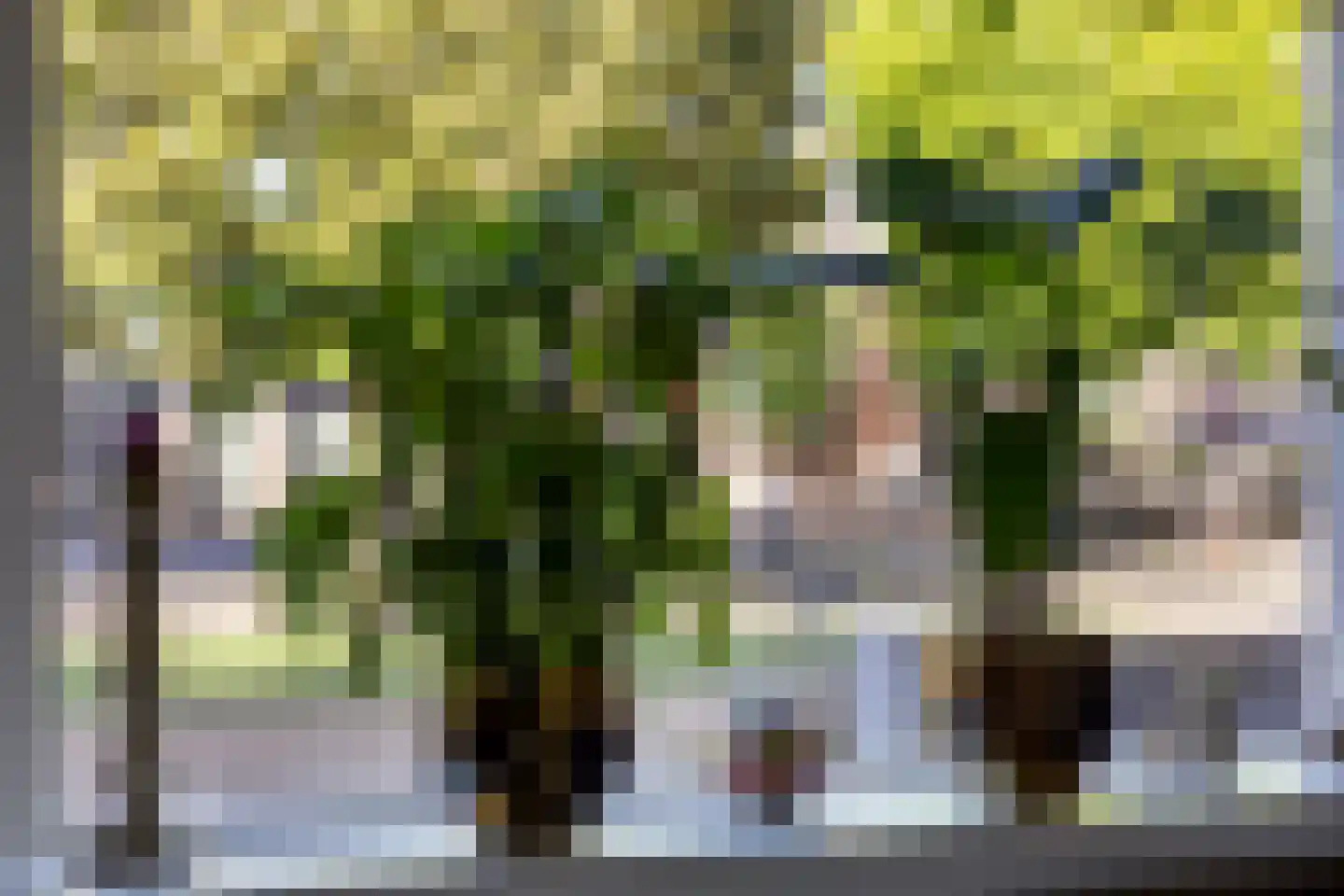Wilhelminastraat 59 Meppel thumbnail 13