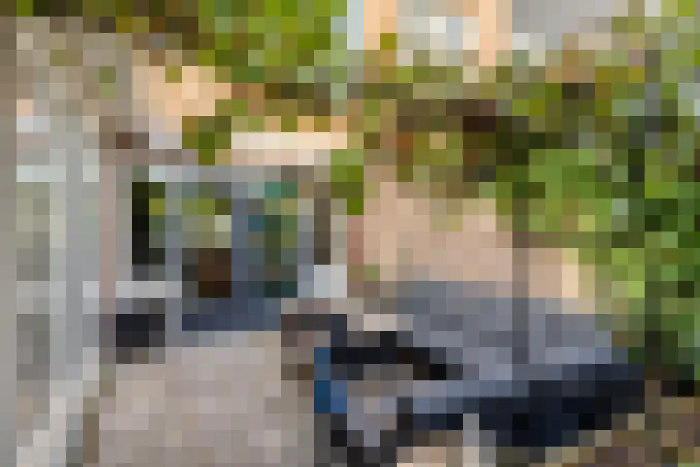 Wilhelminastraat 59 Meppel thumbnail 38