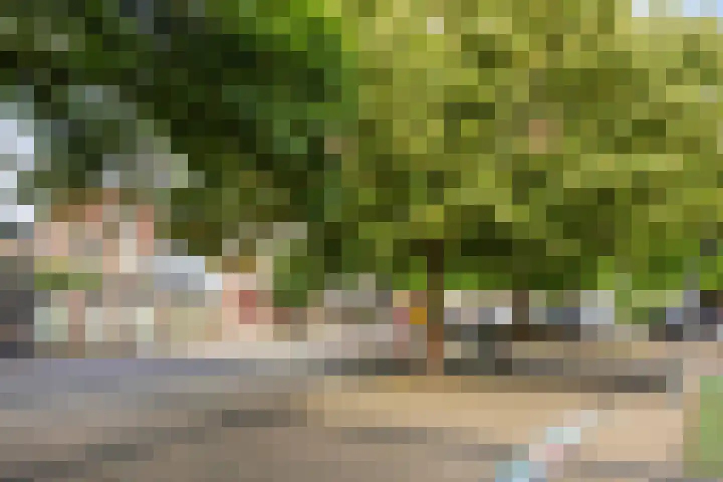Wilhelminastraat 59 Meppel thumbnail 43