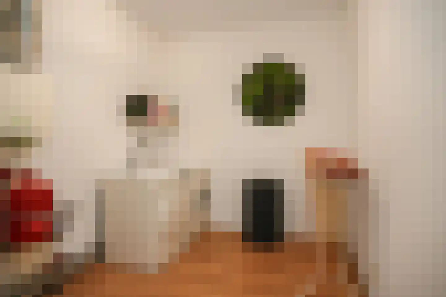 Wilhelminastraat 59 Veen thumbnail 20