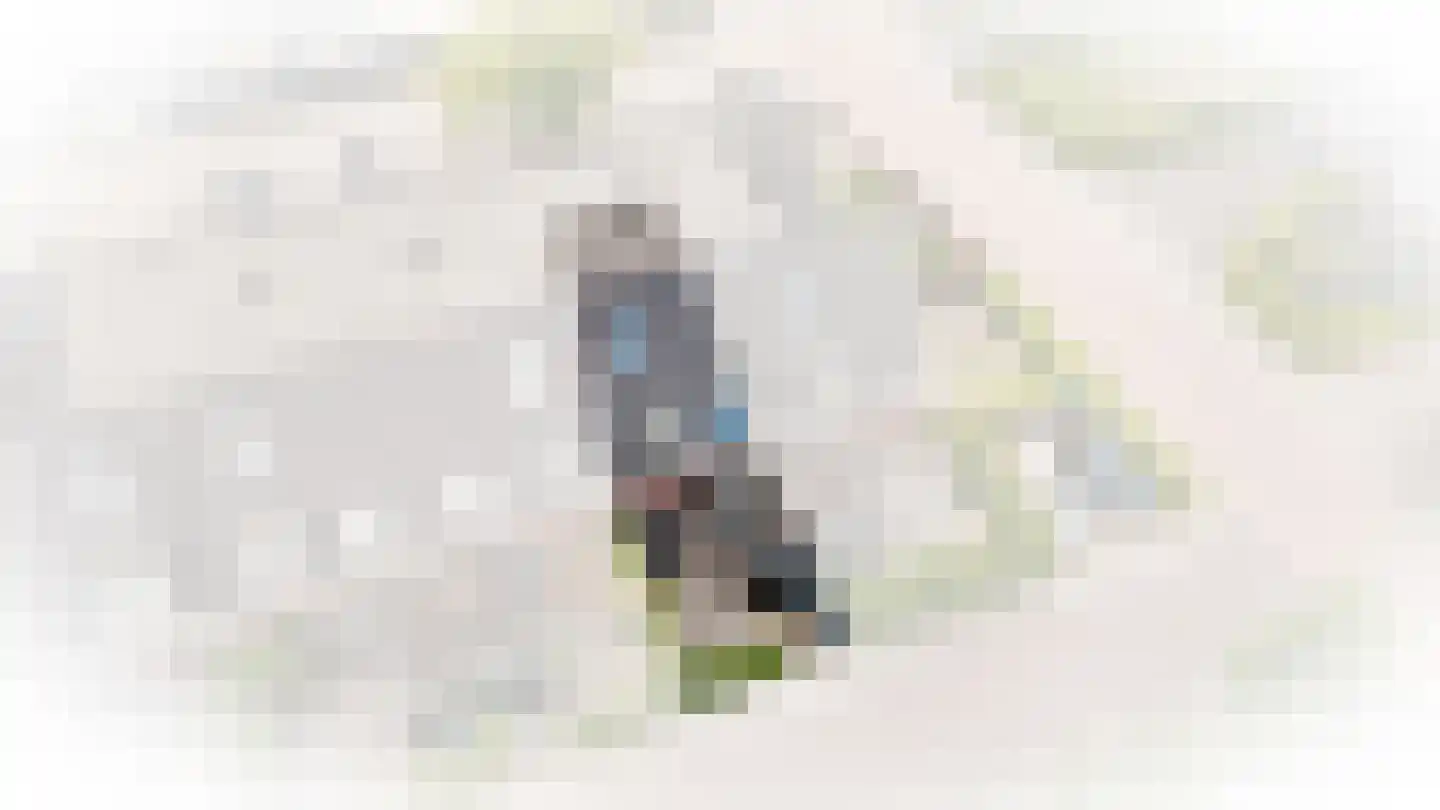 Wilhelminastraat 59 Veen thumbnail 33