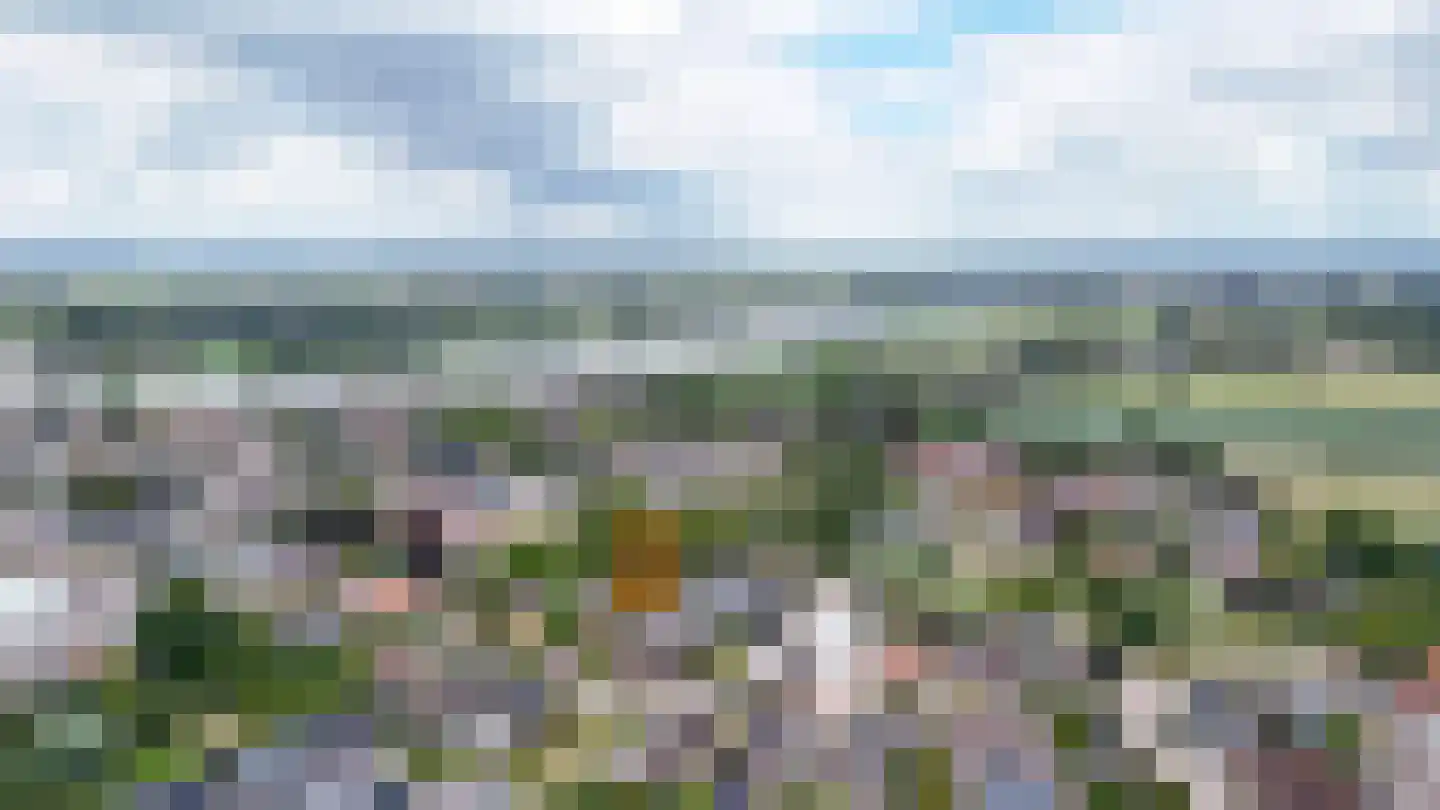Wilhelminastraat 59 Veen thumbnail 35