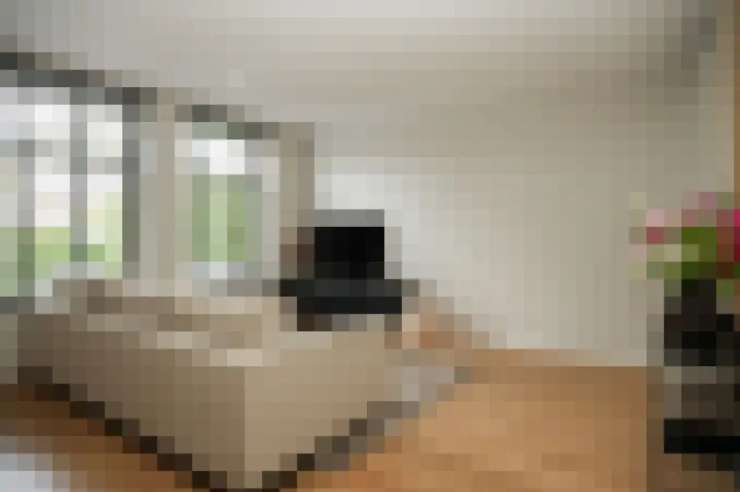 Wilhelminastraat 59 Veen thumbnail 7