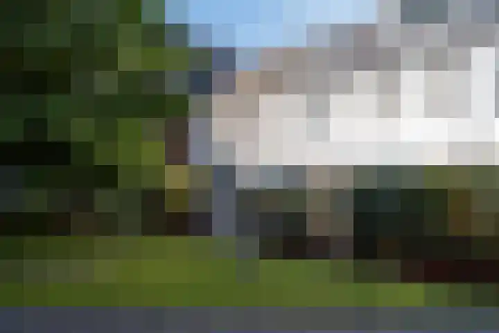 Wilhelminastraat 59 Weert thumbnail 33