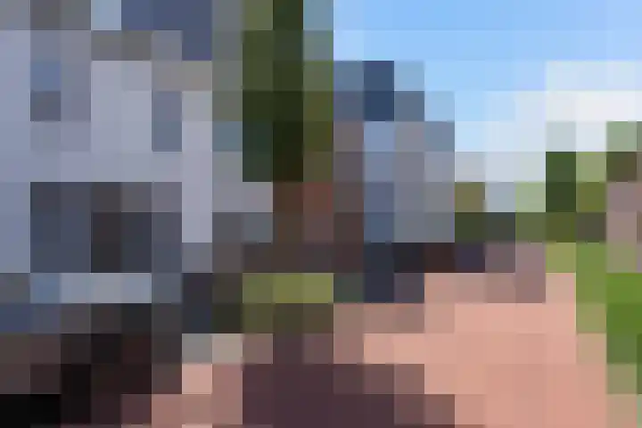 Wilhelminastraat 59 Weert thumbnail 34