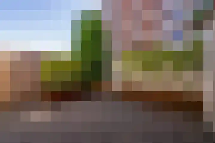 Wilhelminastraat 59 Weert thumbnail 5
