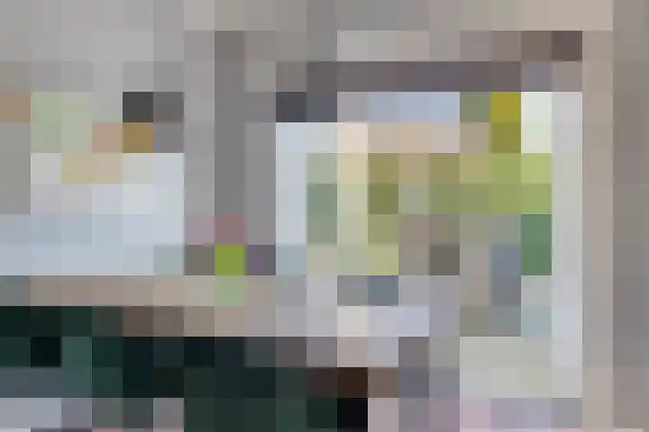 Wilhelminastraat 6 Aalten thumbnail 14
