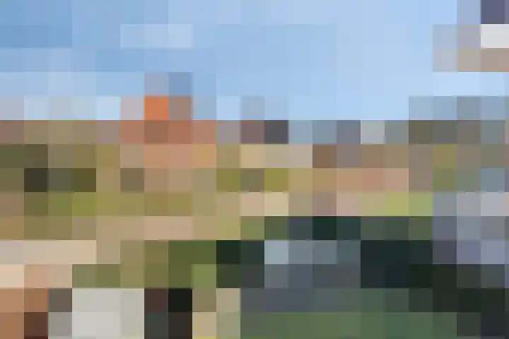 Wilhelminastraat 6 Aalten thumbnail 34