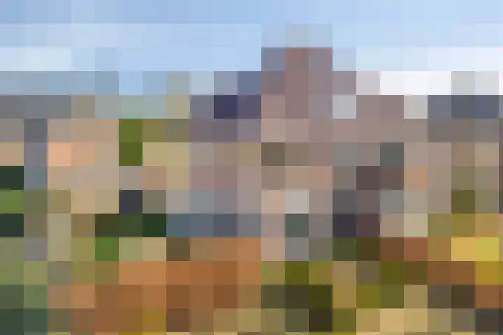 Wilhelminastraat 6 Aalten thumbnail 54