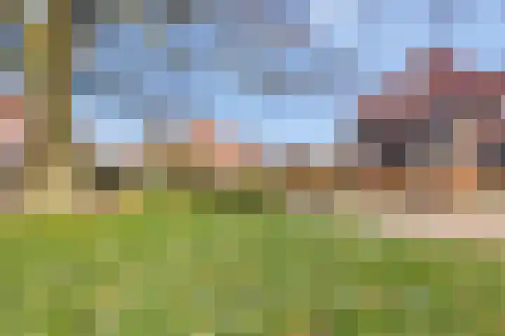 Wilhelminastraat 6 Aalten thumbnail 55