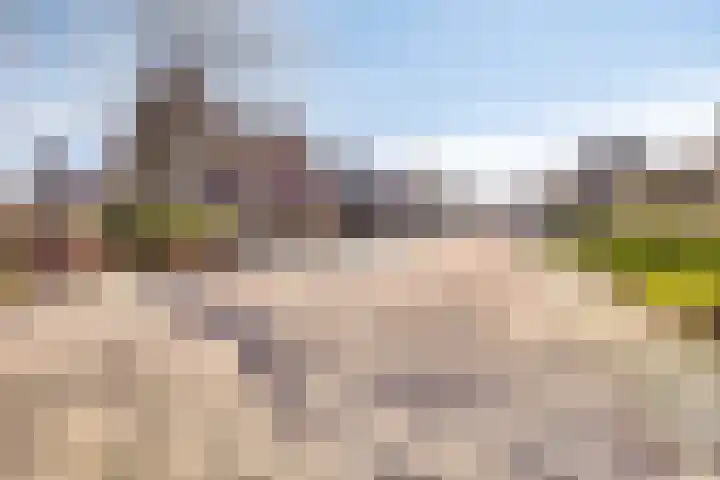 Wilhelminastraat 6 Aalten thumbnail 57