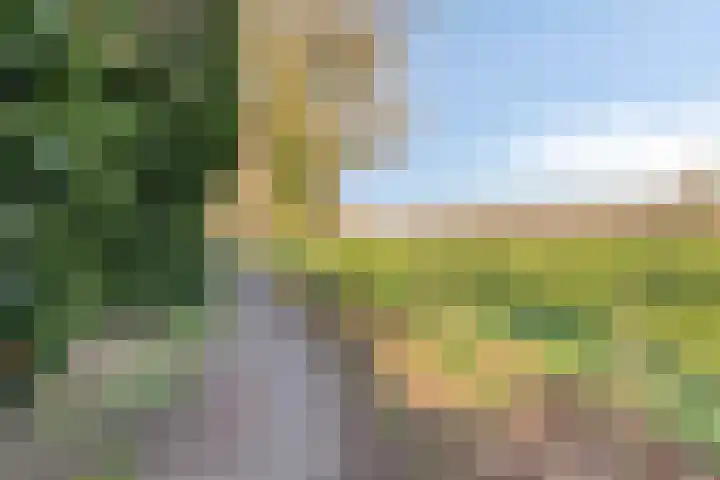 Wilhelminastraat 6 Aalten thumbnail 59