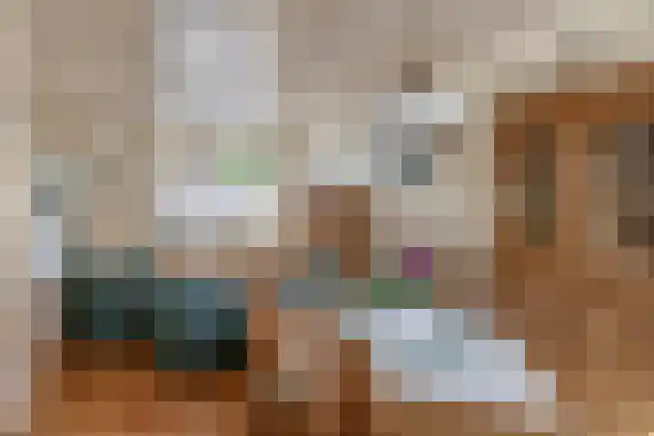 Wilhelminastraat 6 Capelle aan den IJssel thumbnail 13