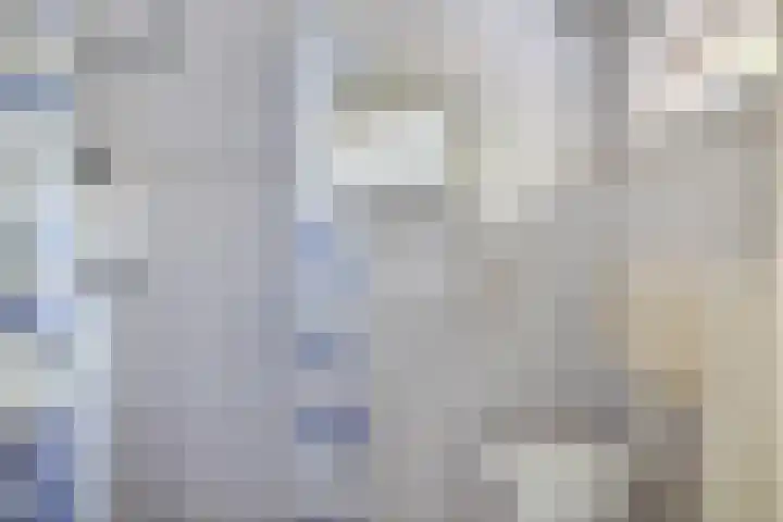 Wilhelminastraat 6 Capelle aan den IJssel thumbnail 19