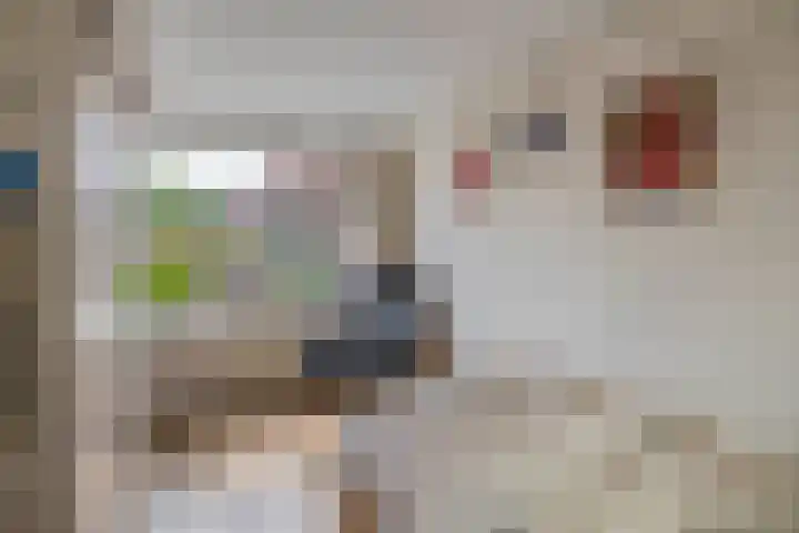 Wilhelminastraat 6 Capelle aan den IJssel thumbnail 20