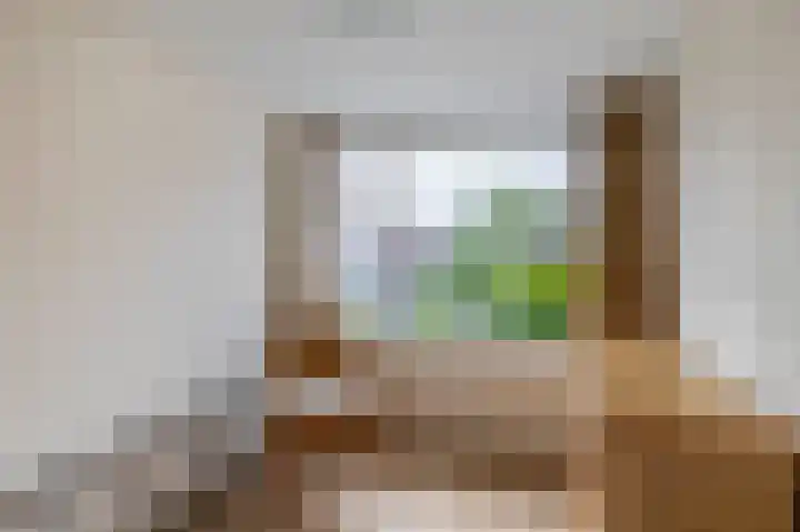 Wilhelminastraat 6 Capelle aan den IJssel thumbnail 23