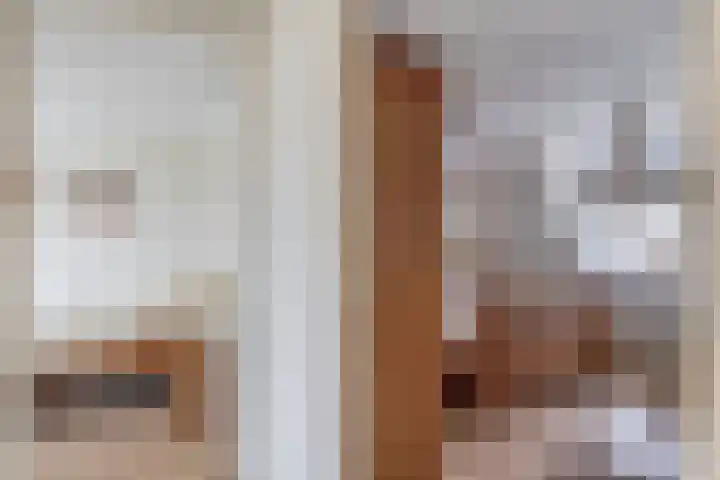 Wilhelminastraat 6 Capelle aan den IJssel thumbnail 25