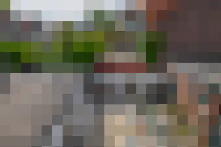 Wilhelminastraat 6 Capelle aan den IJssel thumbnail 26
