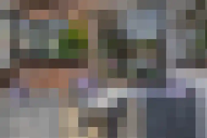 Wilhelminastraat 6 Capelle aan den IJssel thumbnail 27