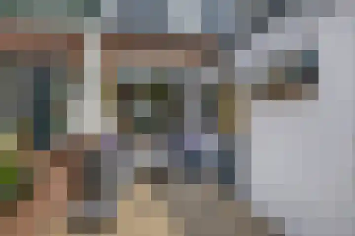 Wilhelminastraat 6 Capelle aan den IJssel thumbnail 28