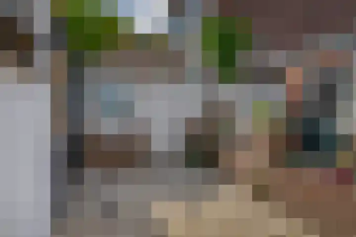 Wilhelminastraat 6 Capelle aan den IJssel thumbnail 30