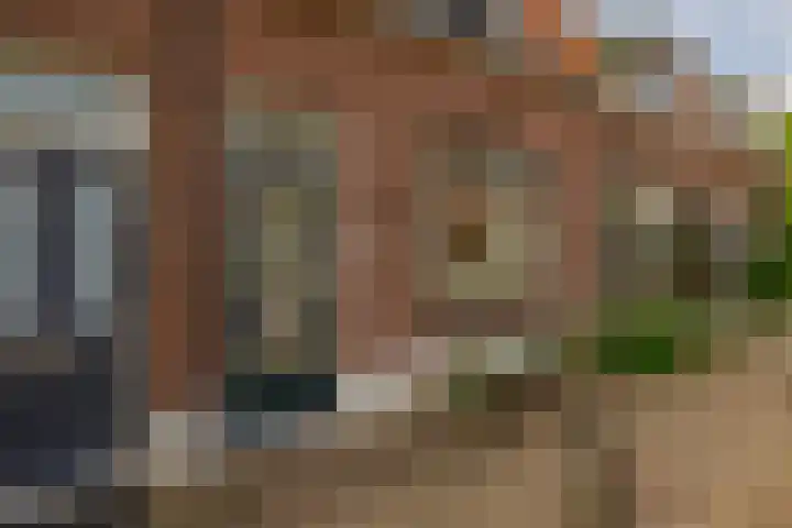 Wilhelminastraat 6 Capelle aan den IJssel thumbnail 5