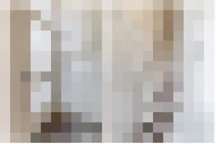 Wilhelminastraat 6 Capelle aan den IJssel thumbnail 7