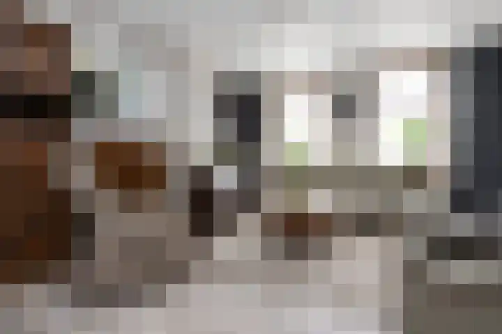 Wilhelminastraat 6 Den Bommel thumbnail 10