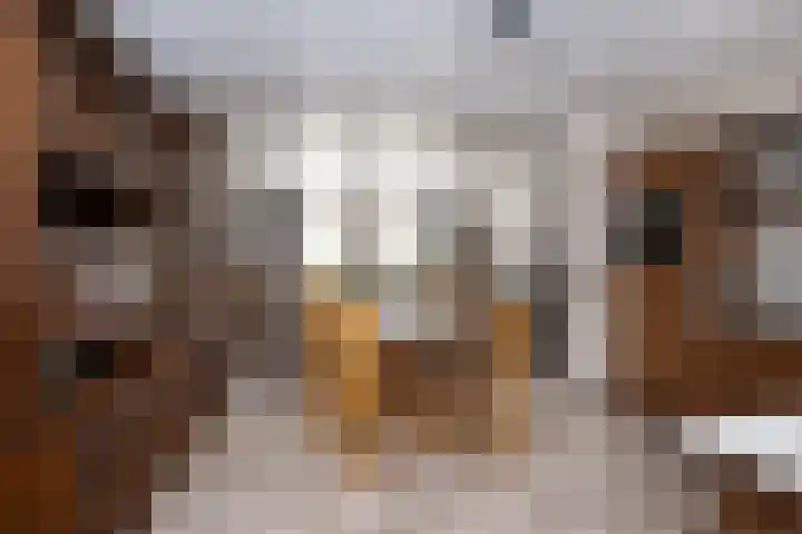Wilhelminastraat 6 Den Bommel thumbnail 12