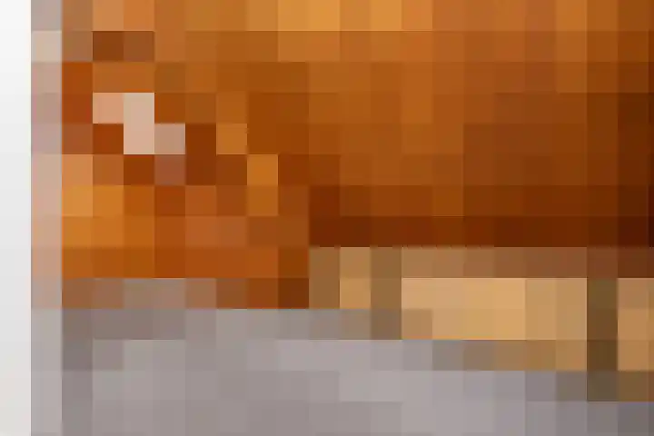 Wilhelminastraat 6 Den Bommel thumbnail 21