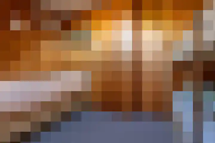 Wilhelminastraat 6 Den Bommel thumbnail 22