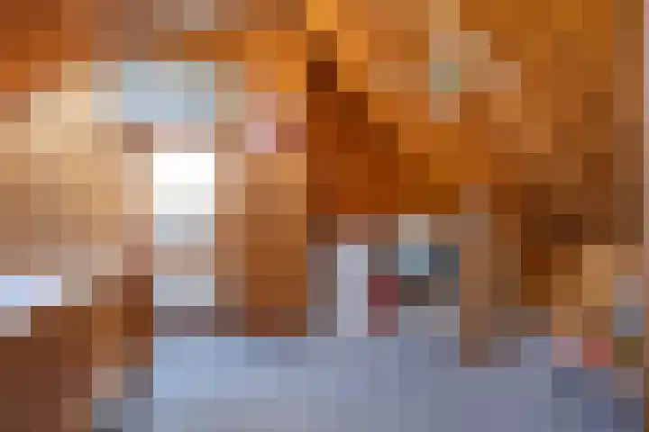 Wilhelminastraat 6 Den Bommel thumbnail 25