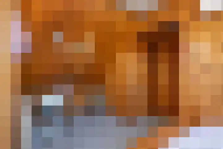 Wilhelminastraat 6 Den Bommel thumbnail 26